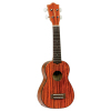 Tanglewood TU 4521
