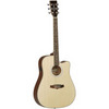 Tanglewood TW28 SLN-CE