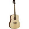 Tanglewood TW28SSN Evolution Series Dreadnought