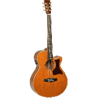 TW45 HB Acoustic Guitar