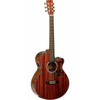 Tanglewood TW47 B Acoustic Guitar