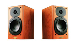 Tannoy R1