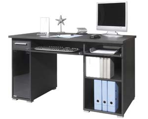Taurus workstation