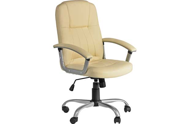 TAYLOR Gas Lift Leather Effect Office Chair -