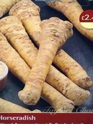 Taylors 2 Taylors Horseradish Thongs: easy to grow, plant in spring
