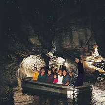 Glowworm Caves and Launch Excursion -