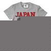 Japan 1210 T-Shirt (Grey)