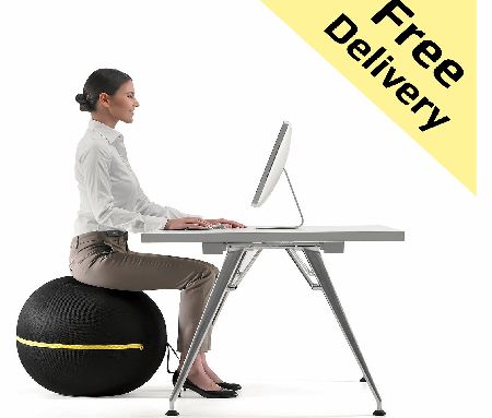 Technogym Wellness Ball Active Sitting - 55cm