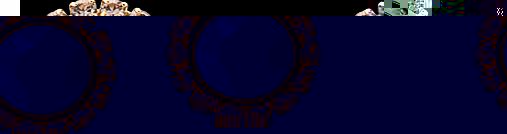 Sully Black Multi Swarovski Crystal