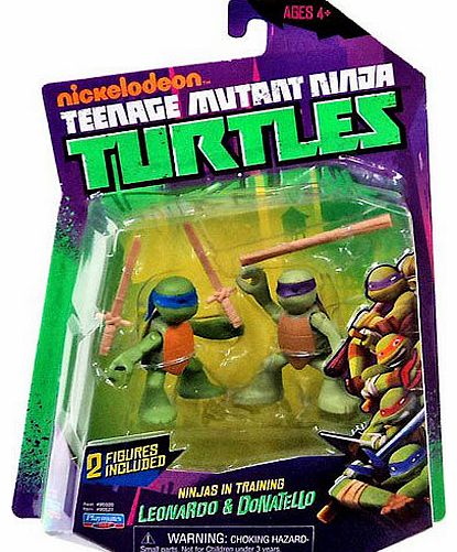 Teenage Mutant Ninja Turtles - Training Don and