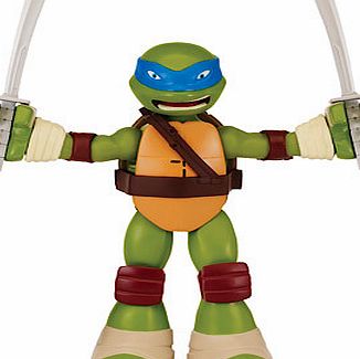Teenage Mutant Ninja Turtles StretchNShout