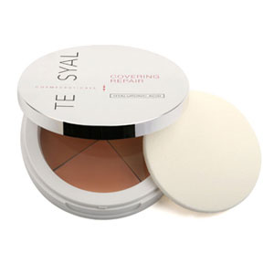 Teosyal Covering Repair Concealer 7g Teosyal