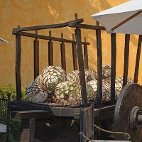 Tequilla Tour Tequila Tour