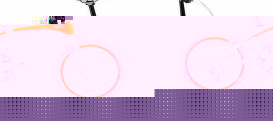 Tern Verge X10 2014 Folding Bike