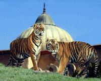 terra Natura 1 Day Pass Senior Ticket