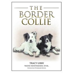 Terra Nova The Border Collie (Book)