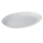 white porcelain steak plate