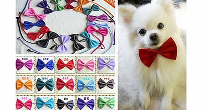Cute Pet Dog Cat bowtie Necktie clothes - Color Random