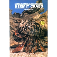 TFH Hermit Crabs