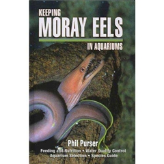 TFH Keeping Moray Eels In Aquariums (Book)
