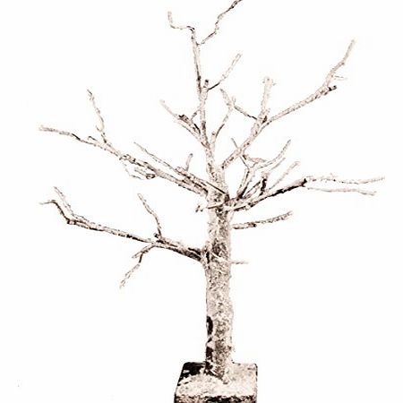 The Benross Christmas Workshop 60 cm LED Sakura Tree with Snow White