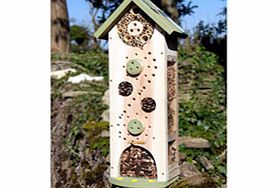 The Big Bug and Bee Biome