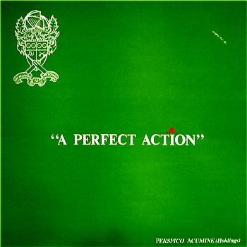 A Perfect Action (English Cricket)