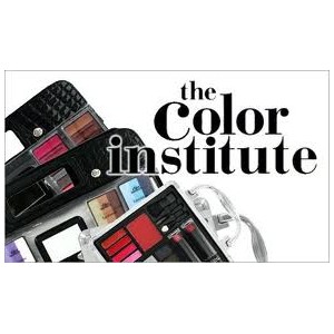 The Color Institute Professional Make-up Artist