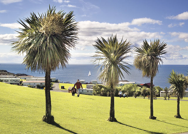 The Courtyard 1 Holiday Park