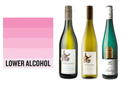 The Doctors Orders 12-Bottle Mixed Case