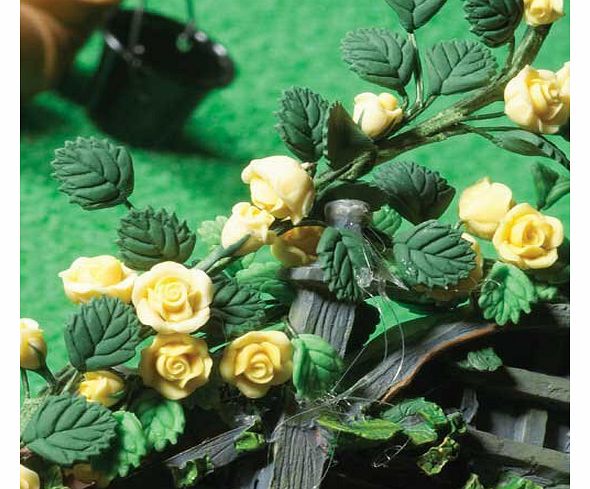 Climbing Yellow Roses