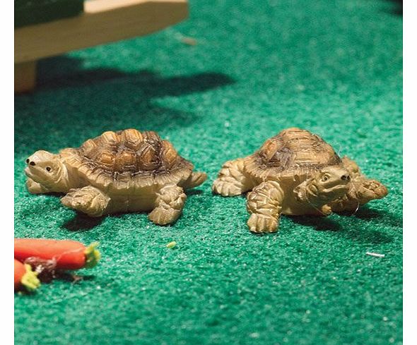 Terry & Jerry Tortoises (PR)
