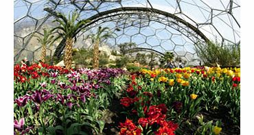 Eden Project Adult Annual Membership with