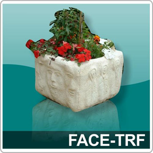 the Faces Trough FACE-TRF