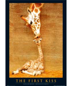 The First Kiss Poster