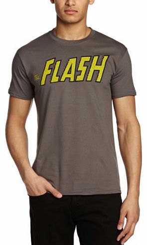 The Flash Mens WBMFLCLTS1 Logo Crew Neck Short Sleeve T-Shirt, Grey (Charcoal), Medium