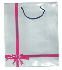 The Fragrance Shop Large Gift Bag