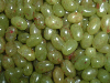 Jelly Beans - South Seas Kiwi
