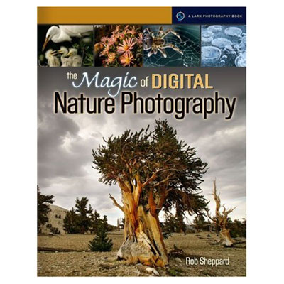 The Magic Of Digital Nature Photography
