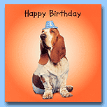 The Pet Set Basset Hound Birthday
