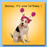 The Pet Set Horray- your birthday!