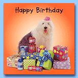 The Pet Set Sheep Dog - Happy Birthday 2