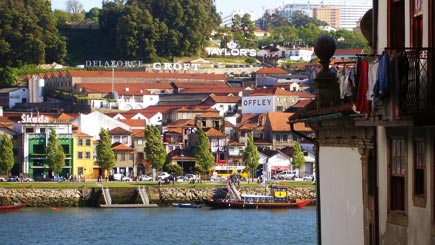 The Port Harvest in Portugal for Two