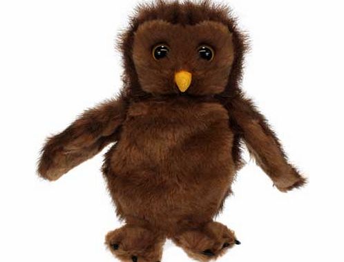 The Puppet Company CarPets Owl Glove Puppet