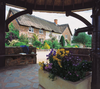 The Thatched Cottage