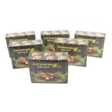 The Tribeca Gift Company Dinosaur Nest Excavation Kit - assorted designs sold separately