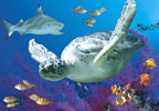 Theme Parks Weymouth SEA LIFE Adventure Park Easter Offer
