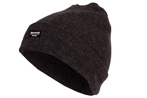 Thinsulate Winter Beanie