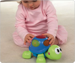 Toddle Along Tortoise