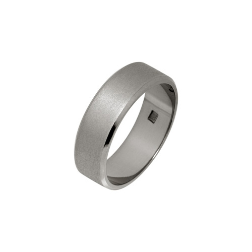 Ti2 Titanium 6mm Flat Bevelled Textured Ring in Titanium by Ti2